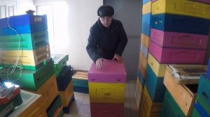 Спасение Слабых Семей пчел весной. Метод Александра в
