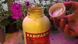 Радифарм подделка, или нет