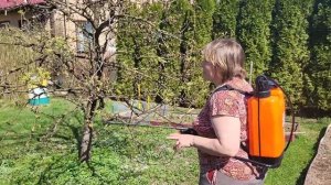 БОРЬБА с яблоневым ЦВЕТОЕДОМ – вредителем яблони и гр