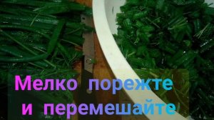 Зеленый лук, петрушку и укроп - готовим  впрок.