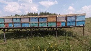 Обзор на прицеп для пчёл. Всё честно. Ваше мнение?
