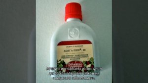 Когда и чем опрыскивать плодовые деревья и кустарники