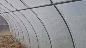 Пленка Светлица 5 лет на теплице