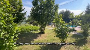 Фундук или лещина, вот в чем вопрос!