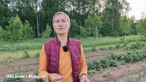 ЧЕМ ОБРАБОТАТЬ ОГОРОД ПОСЛЕ СИЛЬНЫХ ДОЖДЕЙ ПОДКОРМКА