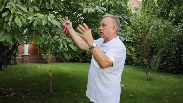 Как навести порядок в саду и собирать хороший урожай? ? смотреть онлайн