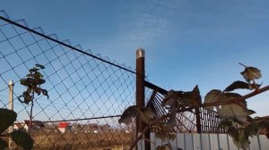 Двойная обрезка малины по методу Соболева. Мой просто?