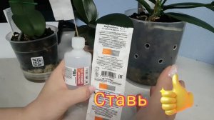 Как нарастить корни у орхидеи? Это СРЕДСТВО Вам поможе