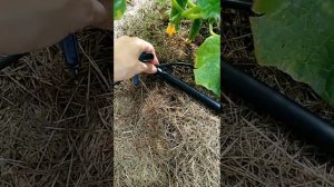Установка капельного полива ЖУК