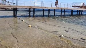 Обзор от первого лица. Grand ROTANA Resort & Spa.  Charm El Sheikh  5 звезд