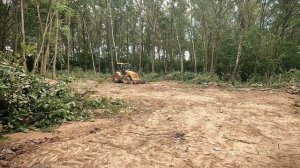 Глобальная расчистка участка от леса, 5 дней работы