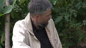 Грядка по Хольцеру - Удачные советы (2015)