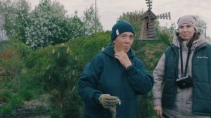 Как правильно ОБРЕЗАТЬ СОСНУ? Японский стиль НИВАКИ! М