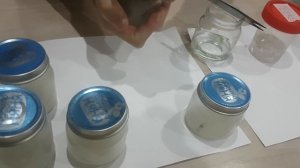 Микроклональное размножение подвоя яблони E56 в домашн