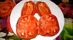 Томат Солдатово