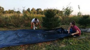 Укрываем участок. Боремся с сорной травой. И развлекае