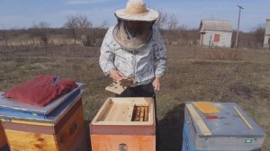 ЛУЧШАЯ СИСТЕМА МНОГОКОРПУСНЫХ УЛЬЕВ ДЛЯ ВЕСЕННЕЙ И ОС