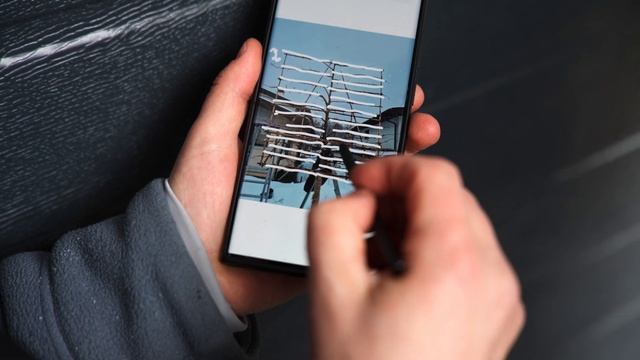 Сервисные работы компании Chelsea Garden: Весенняя обрезка л