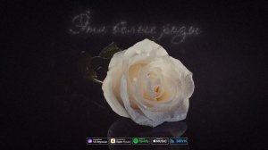 Арсен Алиев - Эти белые розы (Remake) 2024