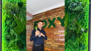 уход за стабилизированным мхом как правильно освежит