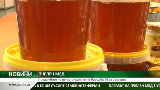 ПЧЕЛЕН МЕД: Продажбите на регистрираните по Наредба 26 смотреть онлайн