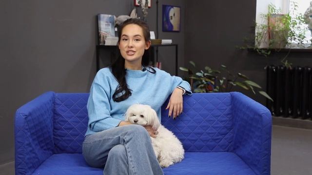 Что выбрать: ботинки для собак или воск для лап? смотреть онлайн