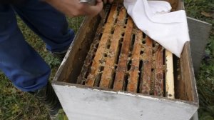 ВАЖНОСТЬ БОКОВОГО УТЕПЛЕНИЯ  УЛЬЯ в ЗИМУ.