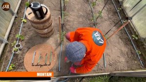 ПОЛИВ КАПЕЛЬНЫЙ точный с регулировкой полива из ШЛАНГ