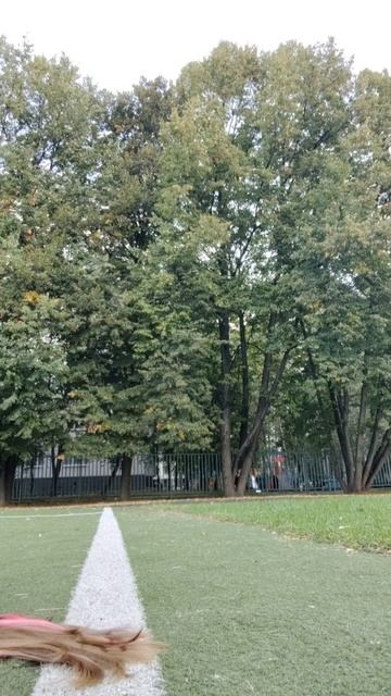 новое видео а я еду на Бугатти #тренд2025 #тренд #3человека смотреть онлайн