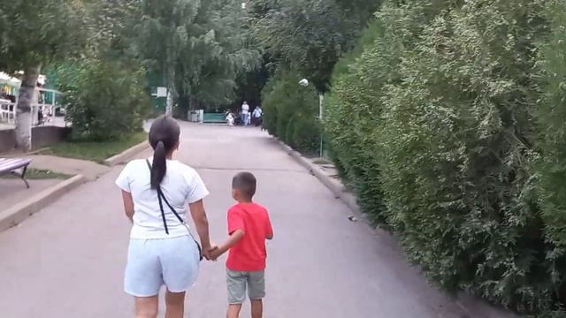 Зоопарк Медведи, волки, слоны, носороги, верблюды, олен