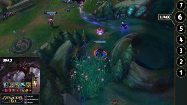 11 самых ненавистных чемпионов в ЛоЛ | Лига Легенд смотреть онлайн