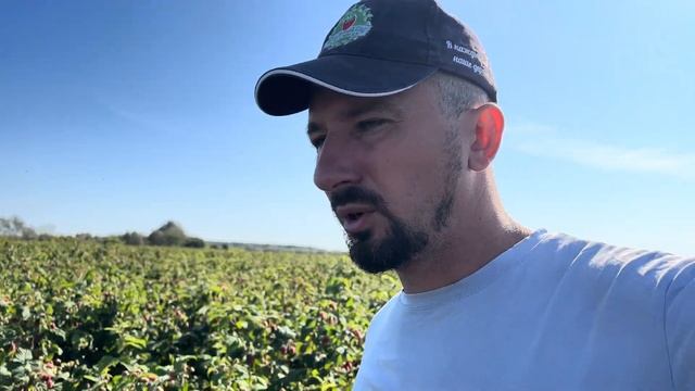 Малина Похвалинка и как попасть к нам в гости. смотреть онлайн