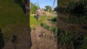 Мотокоса Могилёв КМ 5500, шпулька ,, бабочка,, с быстрой з?