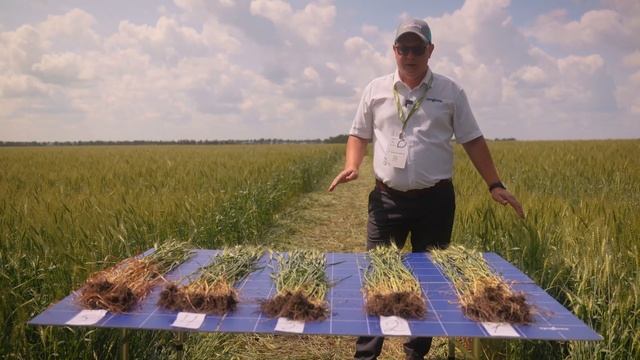 МИРАВИС®️ Нео доказывает превосходство в поле