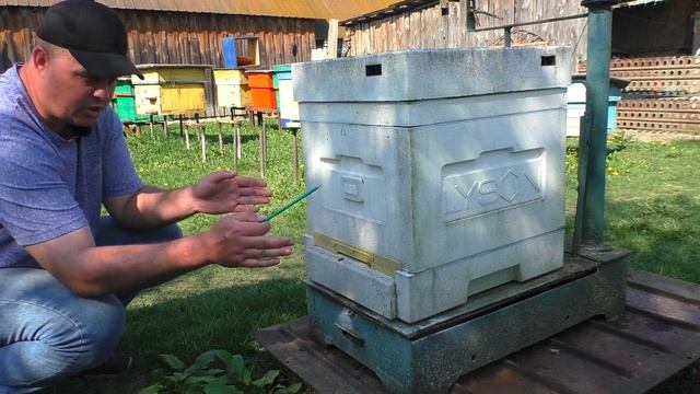 🔴Отводок, обновление тесного гнезда. Можно ли уже дел смотреть онлайн