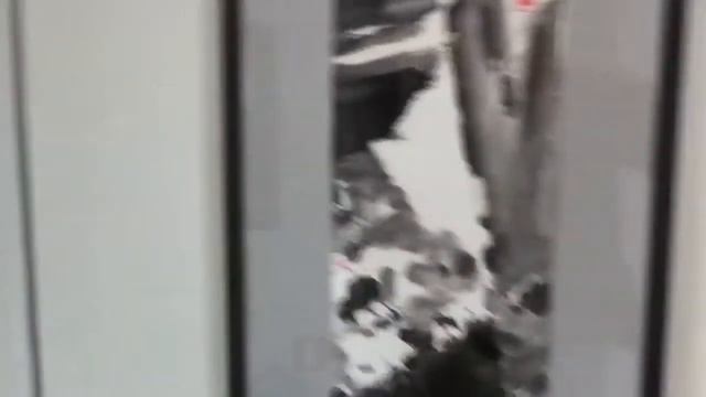 Владимир Жуков