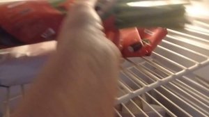 Как сохранить срезанные тюльпаны до 8 марта.