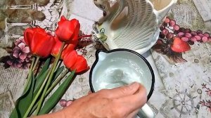 Секреты, как сохранить тюльпаны в вазе как можно долго