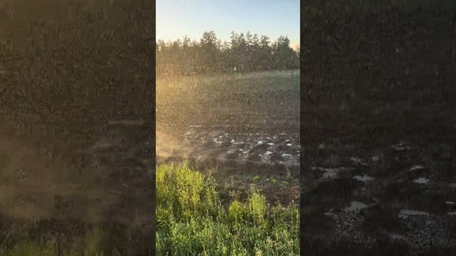 Повторный полив огорода