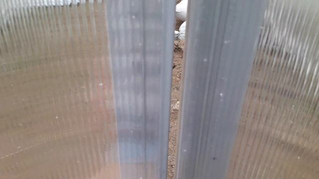 теплица из проф. трубы закончена. общий обзор смотреть онлайн