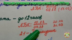 Лучшие дни для пикировки и пересадки растений в марте