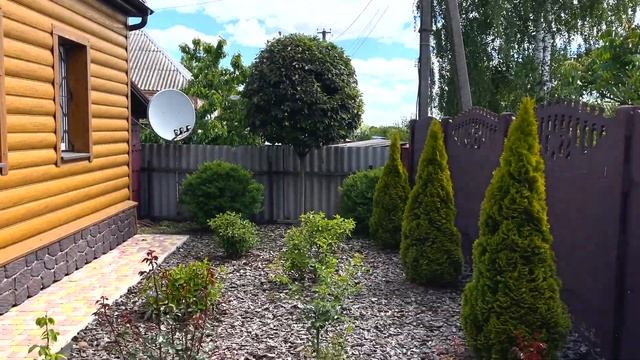 Зоны ПОЛИВА ГАЗОНА и РАСТЕНИЙ/как сделать автоматичес смотреть онлайн