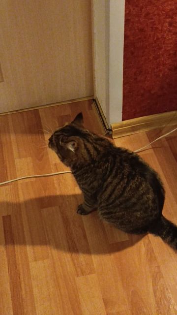 Барчук хочет в спальню смотреть онлайн