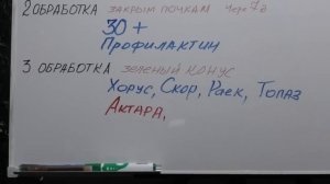 Схема ОБРАБОТКИ САДА от ранней весны до поздней осени.