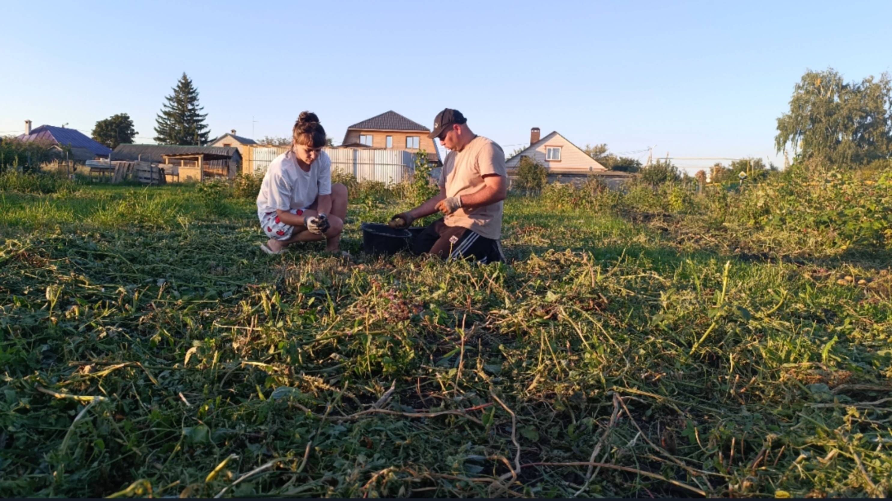 СЕМЬЯ В СБОРЕ,КОПАЕМ КАРТОШКУ/СОБРАЛИ МАЛИНУ И ЗАРАБОТАЛИ/НЕ МОГУ ОТКАЗАТЬ! смотреть онлайн