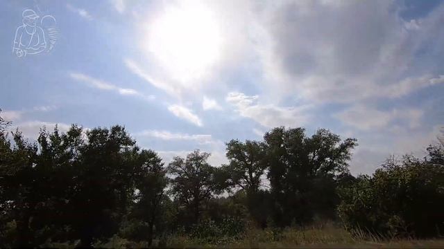 Экспериментальная посадка картофеля сорта Садон в жа?