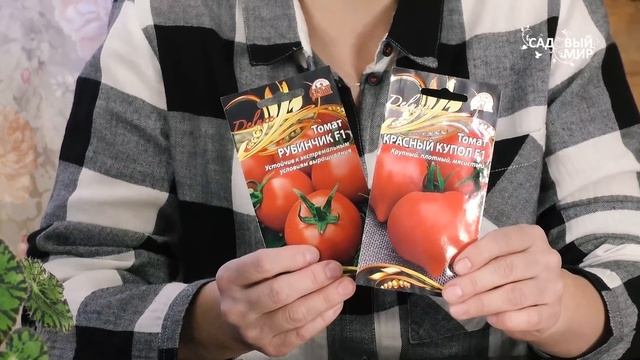 Какие семена выбрать – томаты, баклажаны, перцы и огур смотреть онлайн