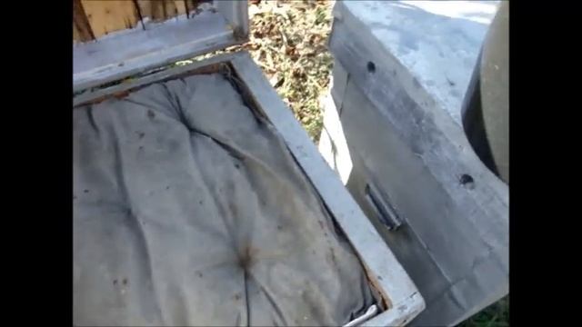 ЛЕЧИМ ПЧЕЛ ОТ АСКОСФЕРОЗА ОБЫЧНОЙ ИЗВЕСТЬЮ смотреть онлайн