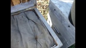 ЛЕЧИМ ПЧЕЛ ОТ АСКОСФЕРОЗА ОБЫЧНОЙ ИЗВЕСТЬЮ