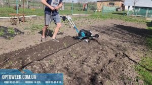 Культиватор електричний Hyundai T 2000E в роботі.